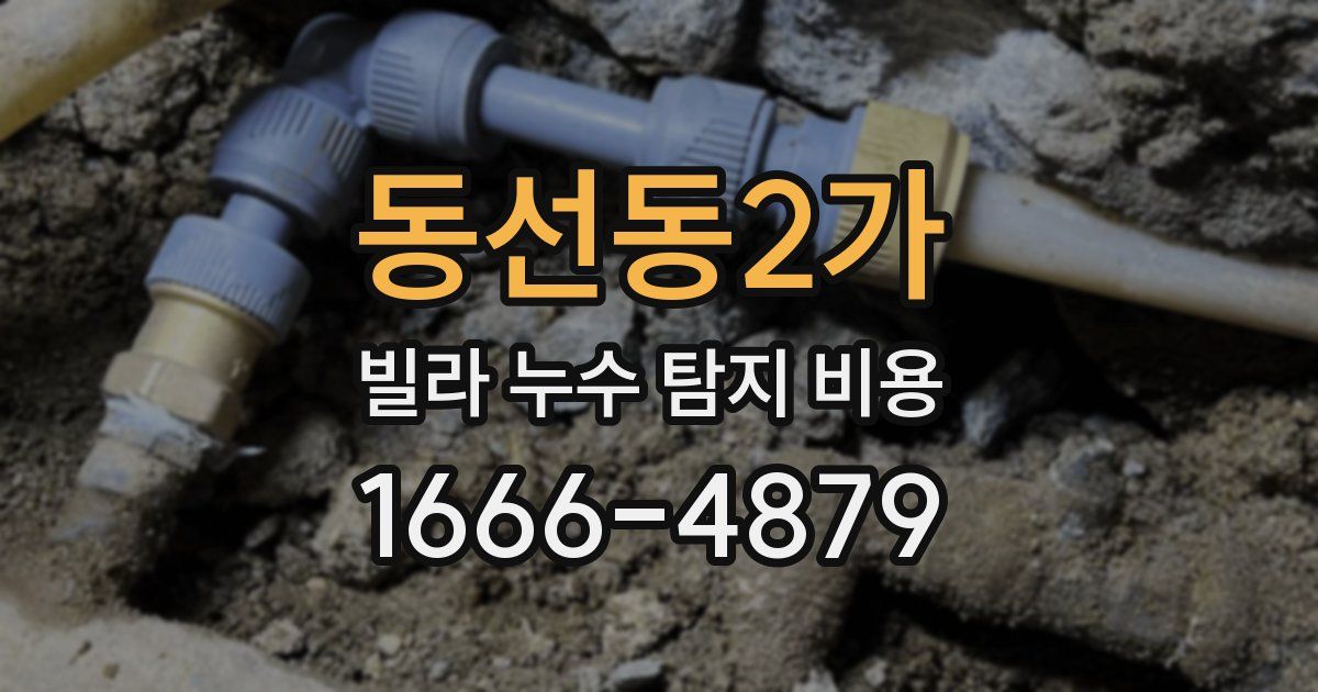 동선동2가 빌라 누수 탐지 비용