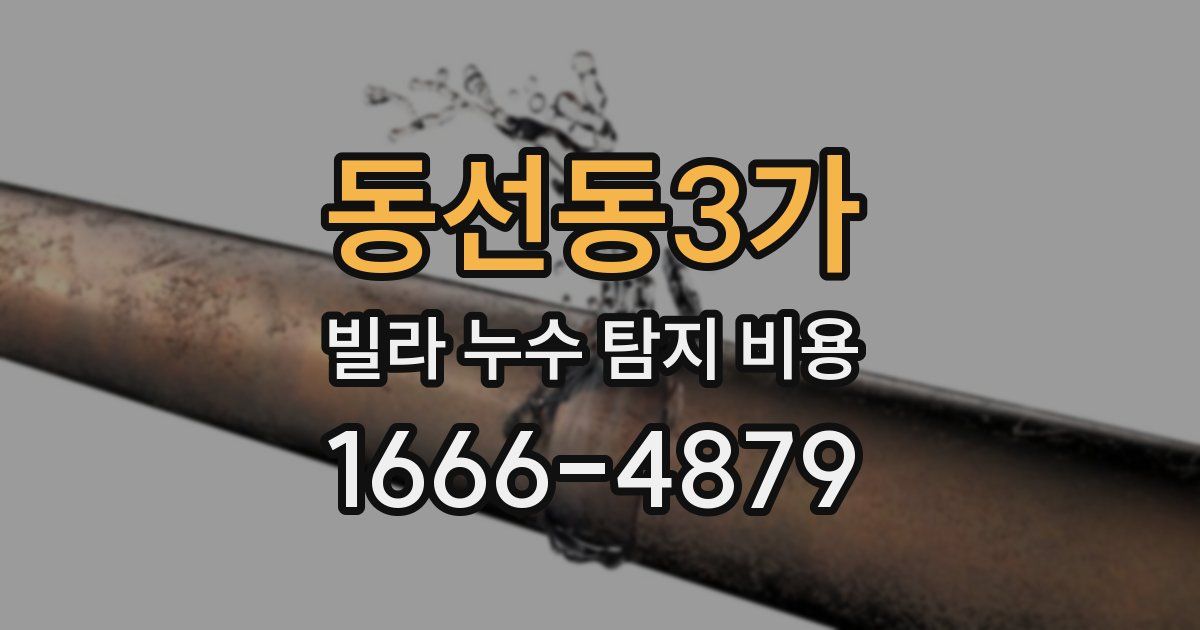 동선동3가 빌라 누수 탐지 비용