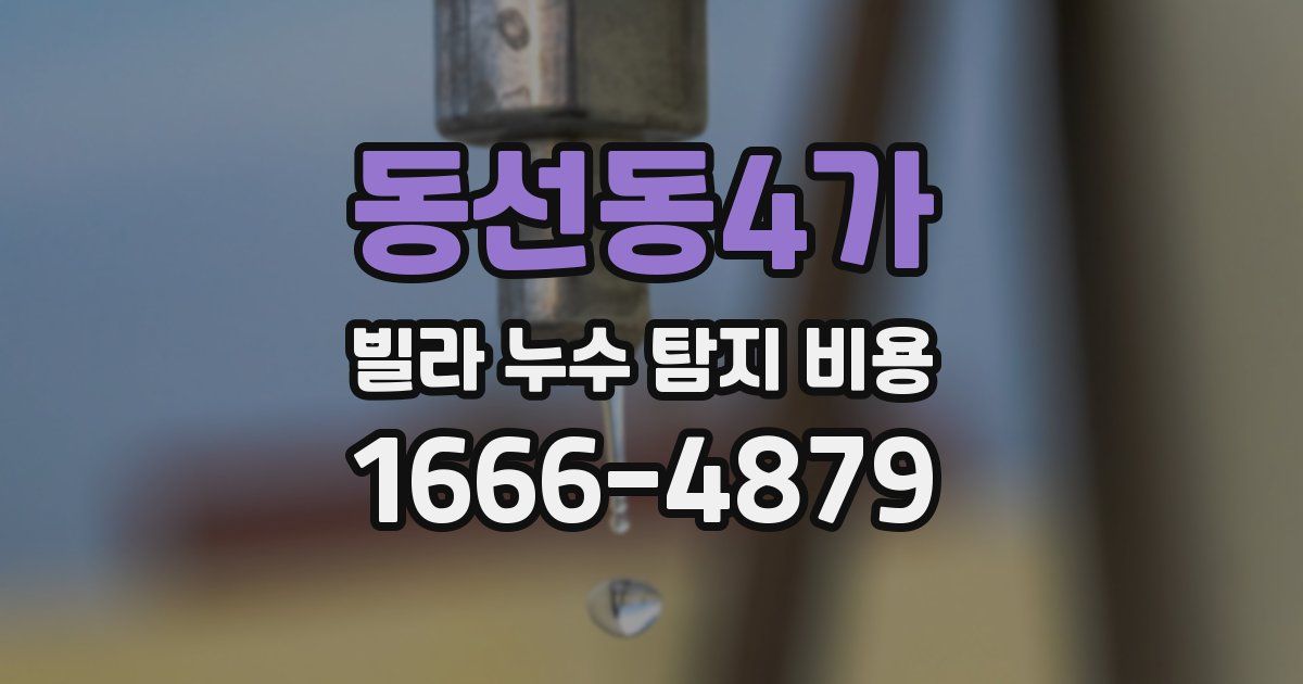 동선동4가 빌라 누수 탐지 비용