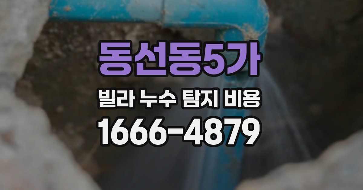 동선동5가 빌라 누수 탐지 비용