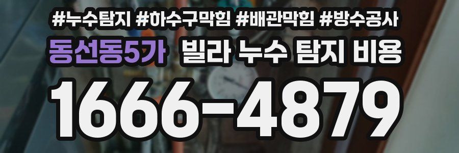 동선동5가 빌라 누수 탐지 비용