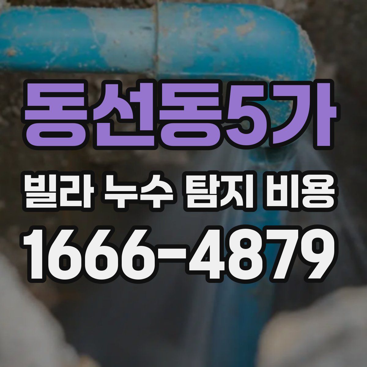 동선동5가 빌라 누수 탐지 비용