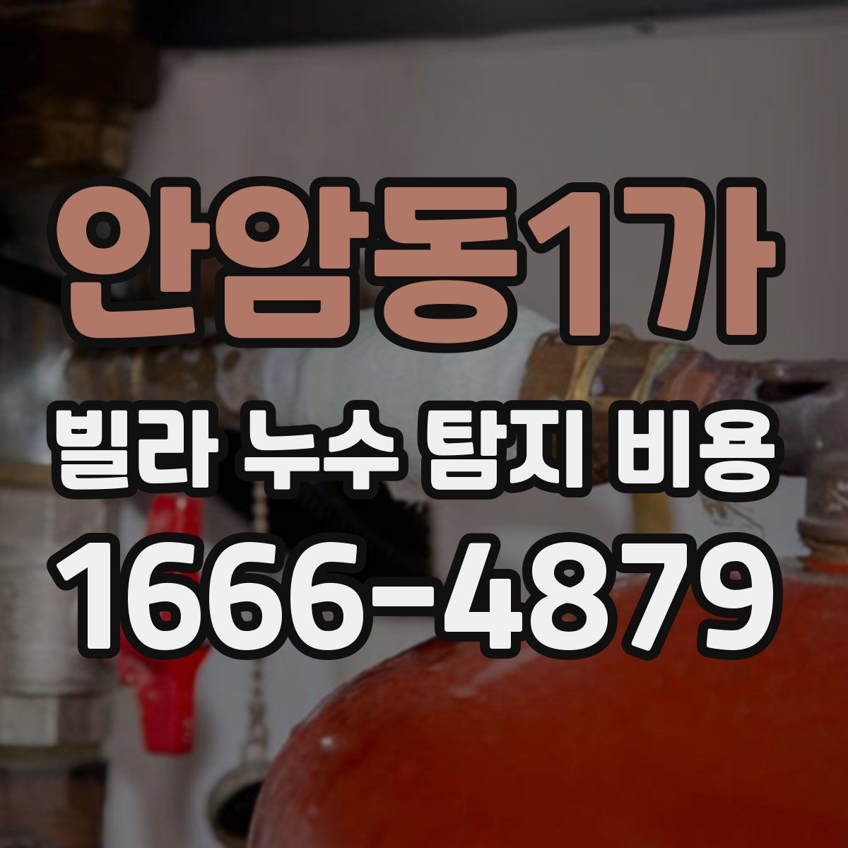 안암동1가 빌라 누수 탐지 비용