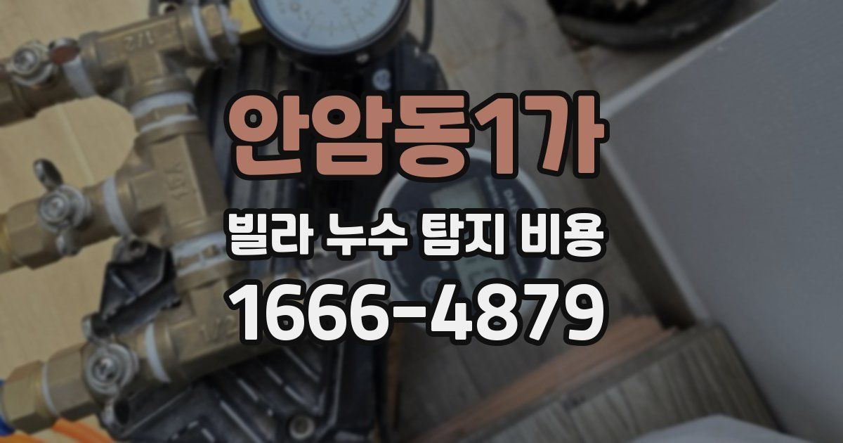 안암동1가 빌라 누수 탐지 비용