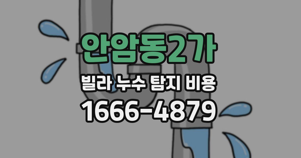 안암동2가 빌라 누수 탐지 비용