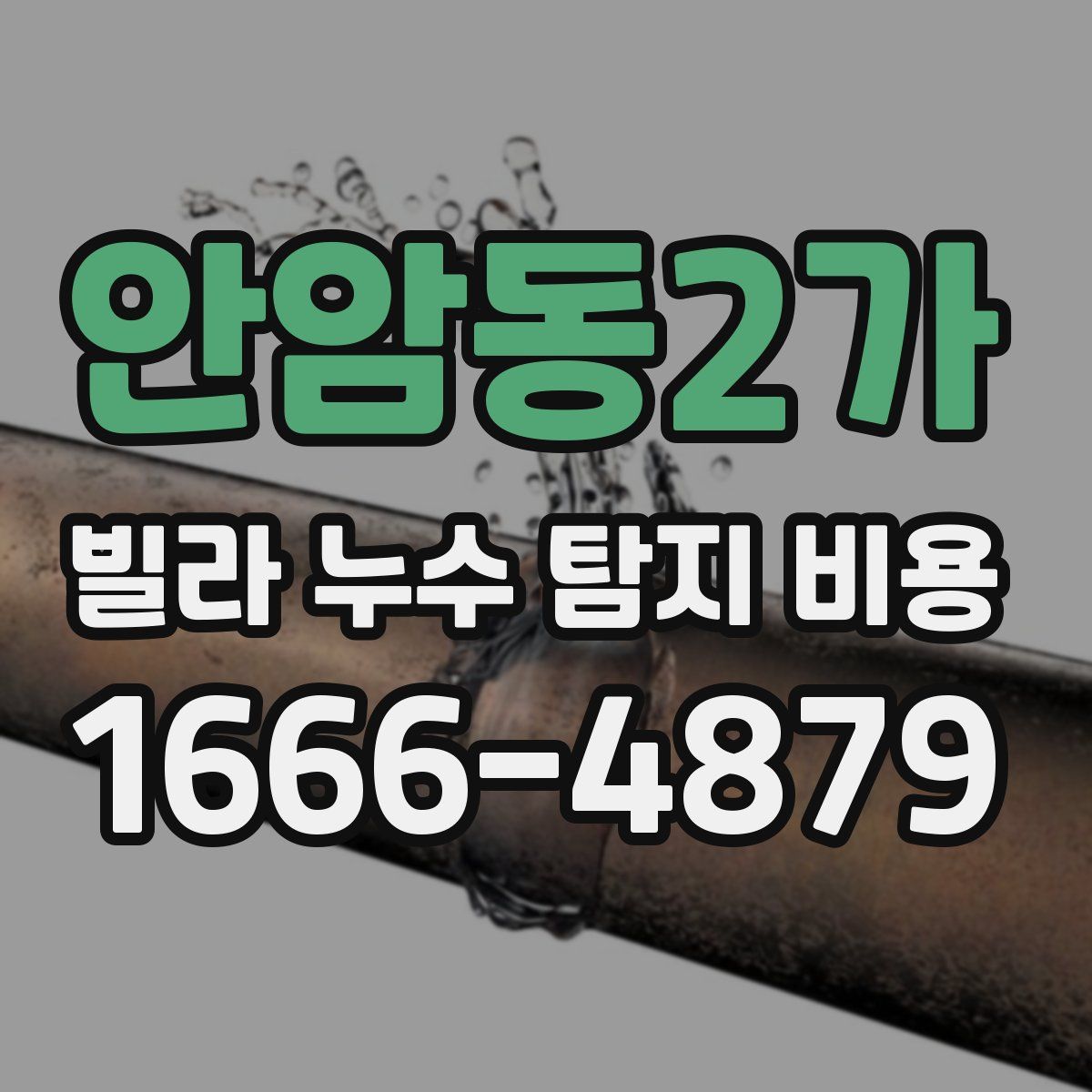 안암동2가 빌라 누수 탐지 비용