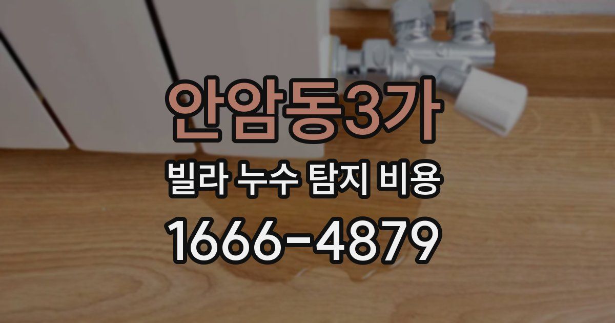 안암동3가 빌라 누수 탐지 비용