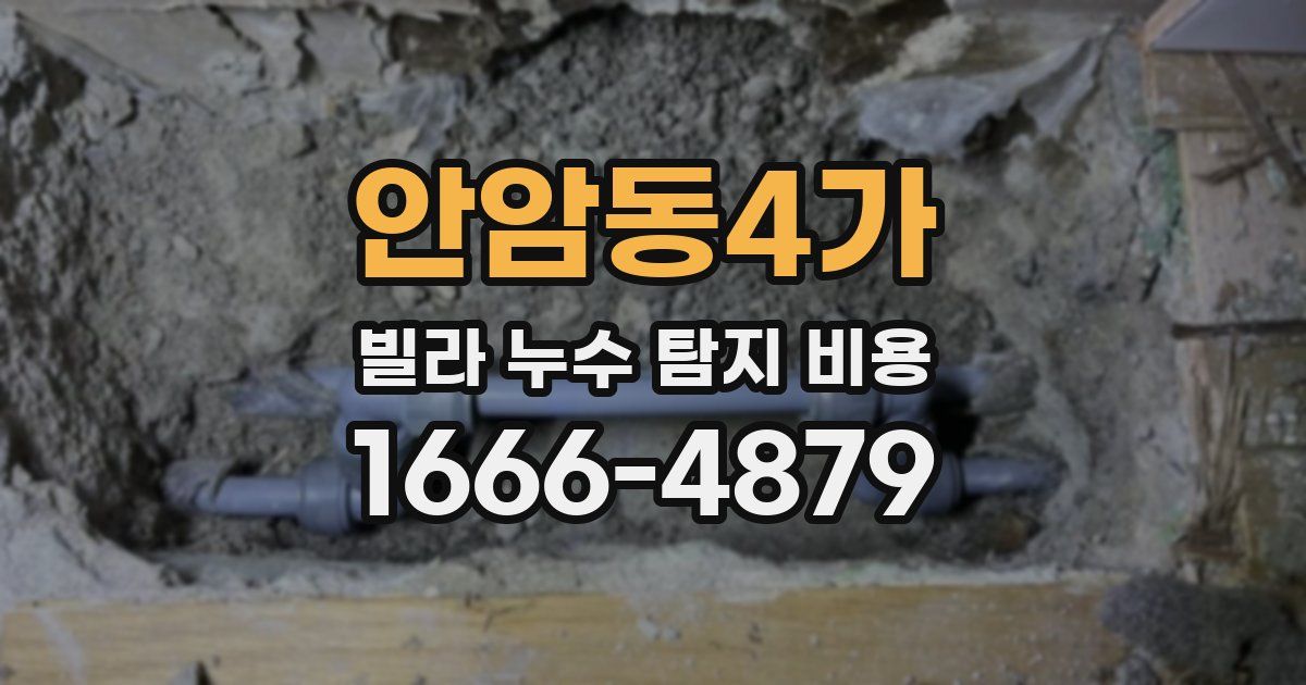 안암동4가 빌라 누수 탐지 비용
