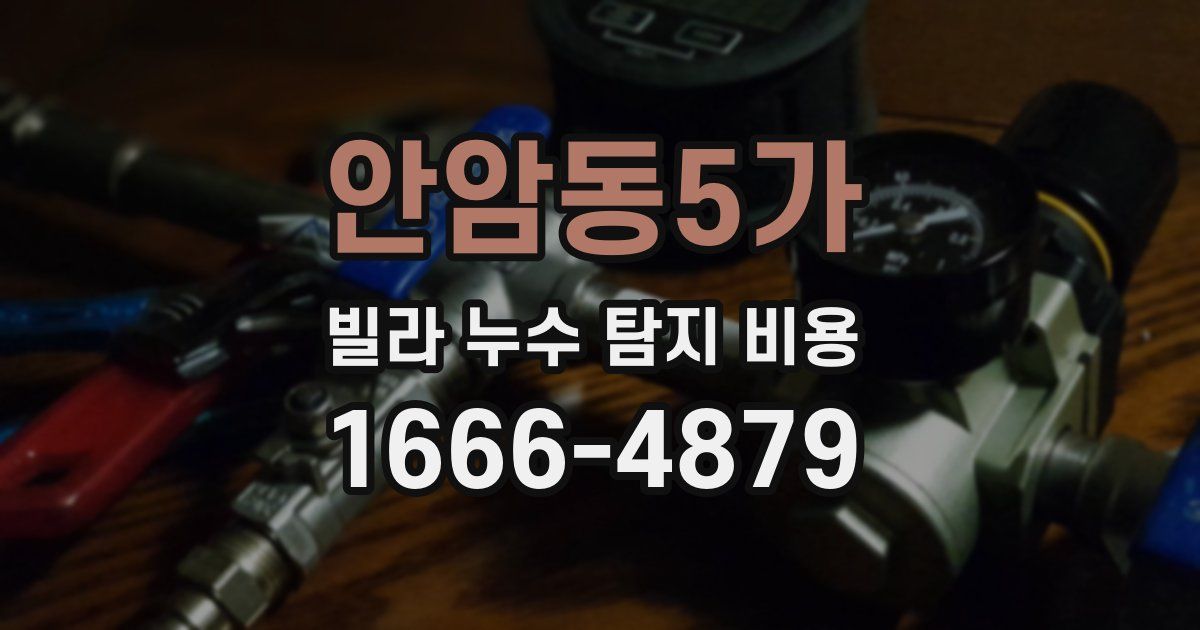 안암동5가 빌라 누수 탐지 비용