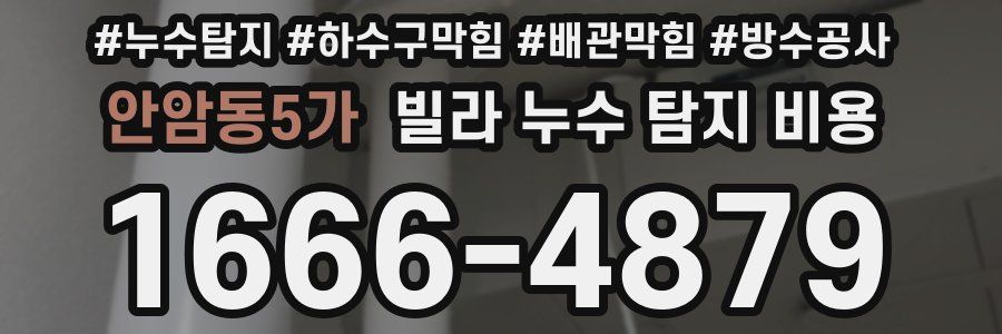 안암동5가 빌라 누수 탐지 비용