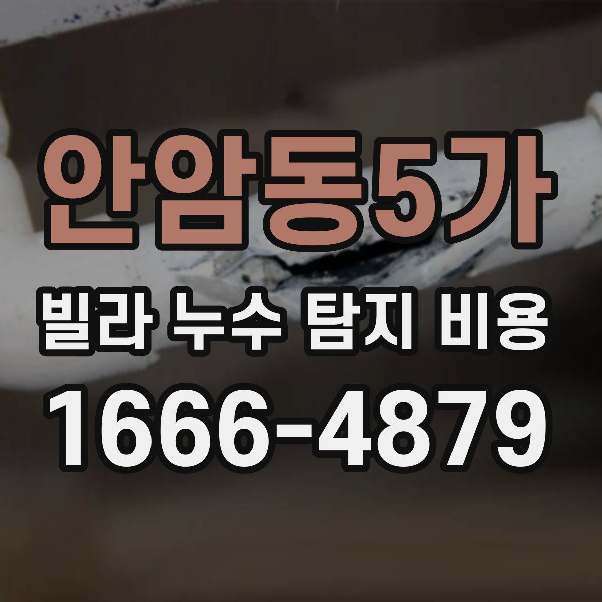 안암동5가 빌라 누수 탐지 비용