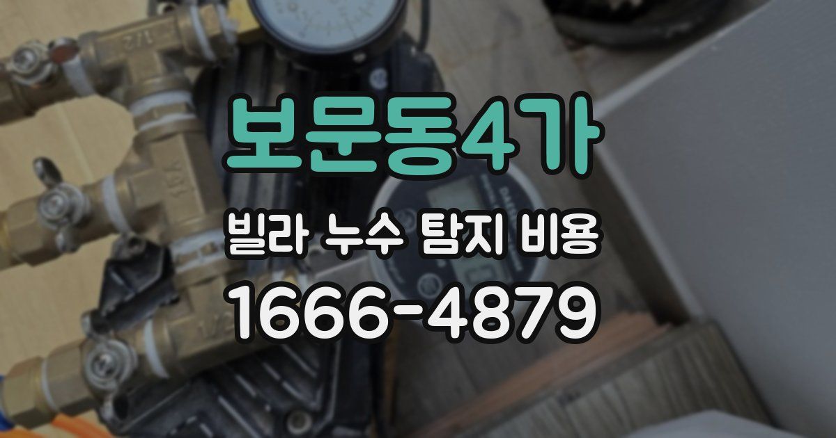 보문동4가 빌라 누수 탐지 비용