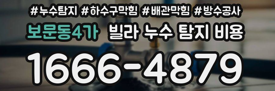 보문동4가 빌라 누수 탐지 비용