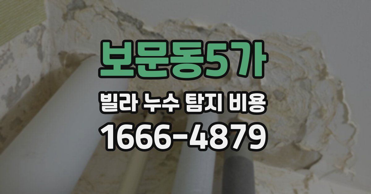 보문동5가 빌라 누수 탐지 비용