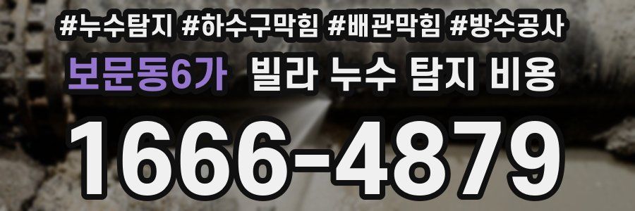보문동6가 빌라 누수 탐지 비용