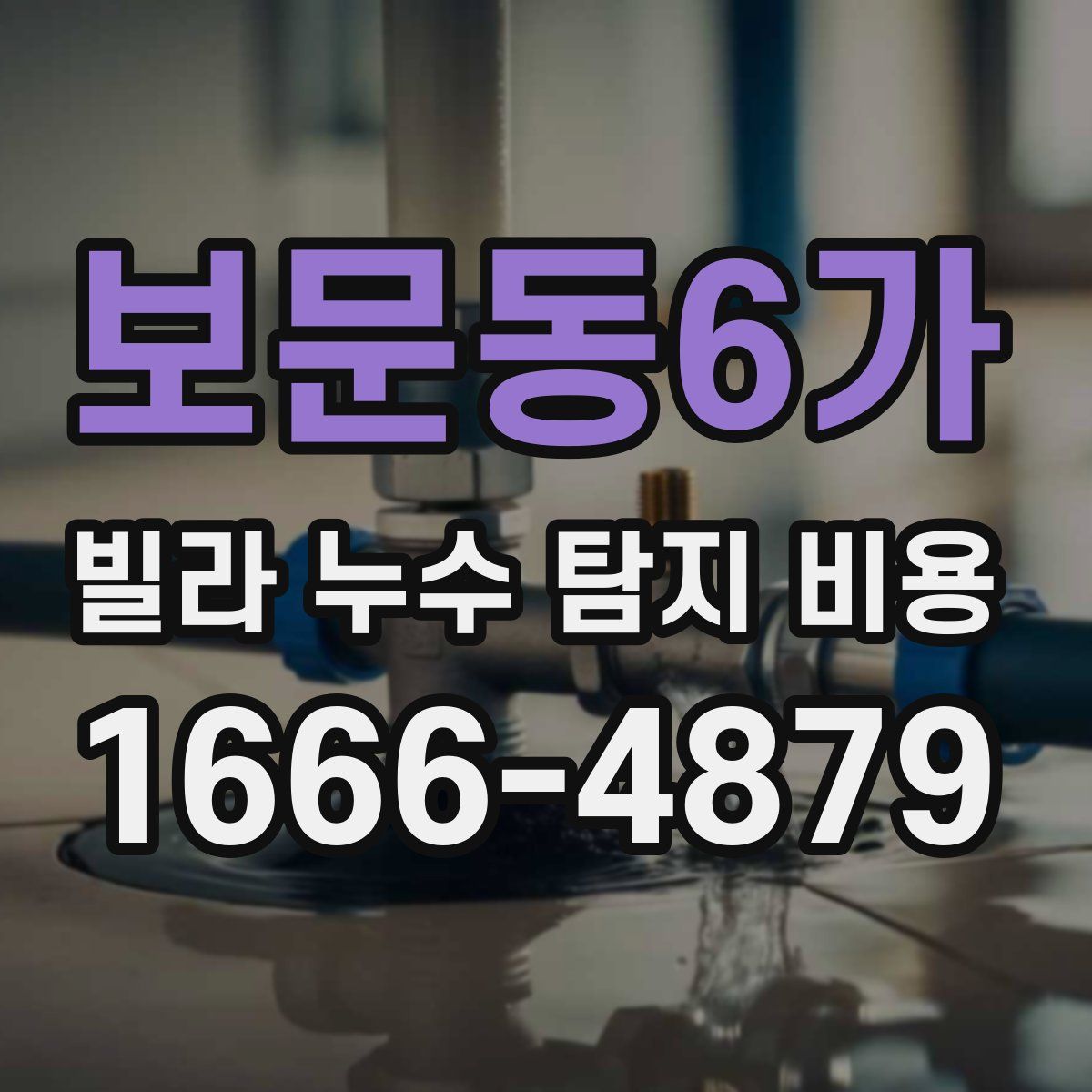 보문동6가 빌라 누수 탐지 비용
