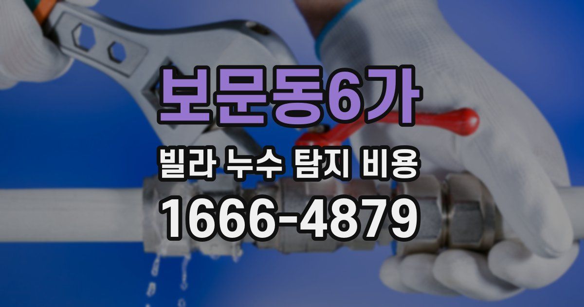 보문동6가 빌라 누수 탐지 비용