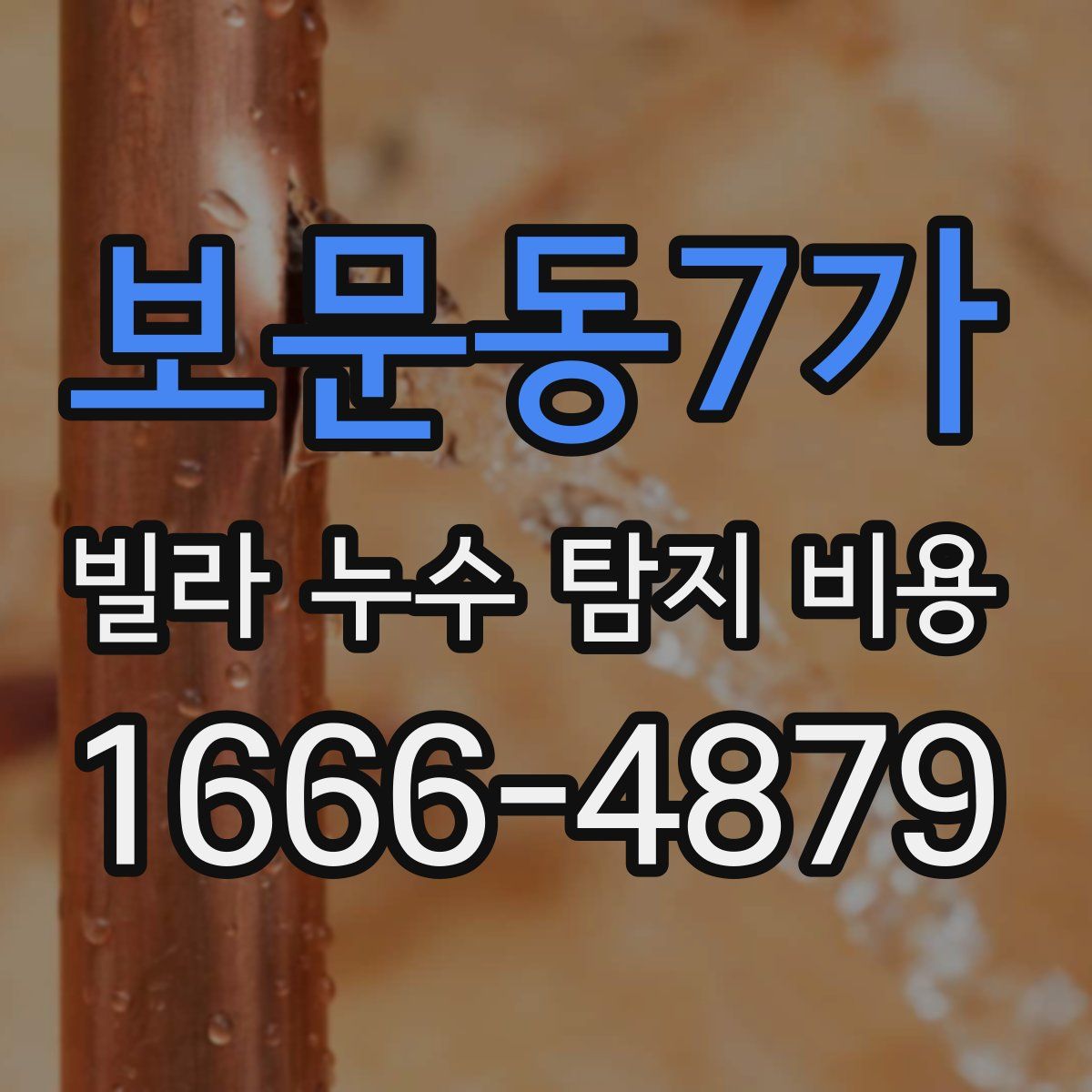 보문동7가 빌라 누수 탐지 비용
