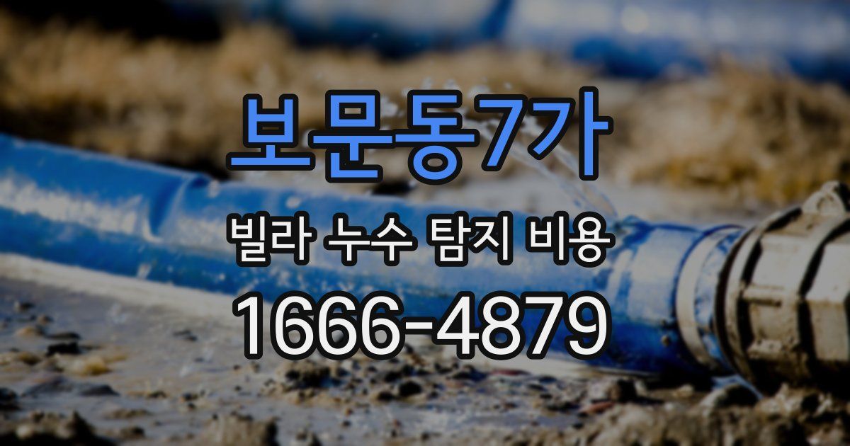 보문동7가 빌라 누수 탐지 비용