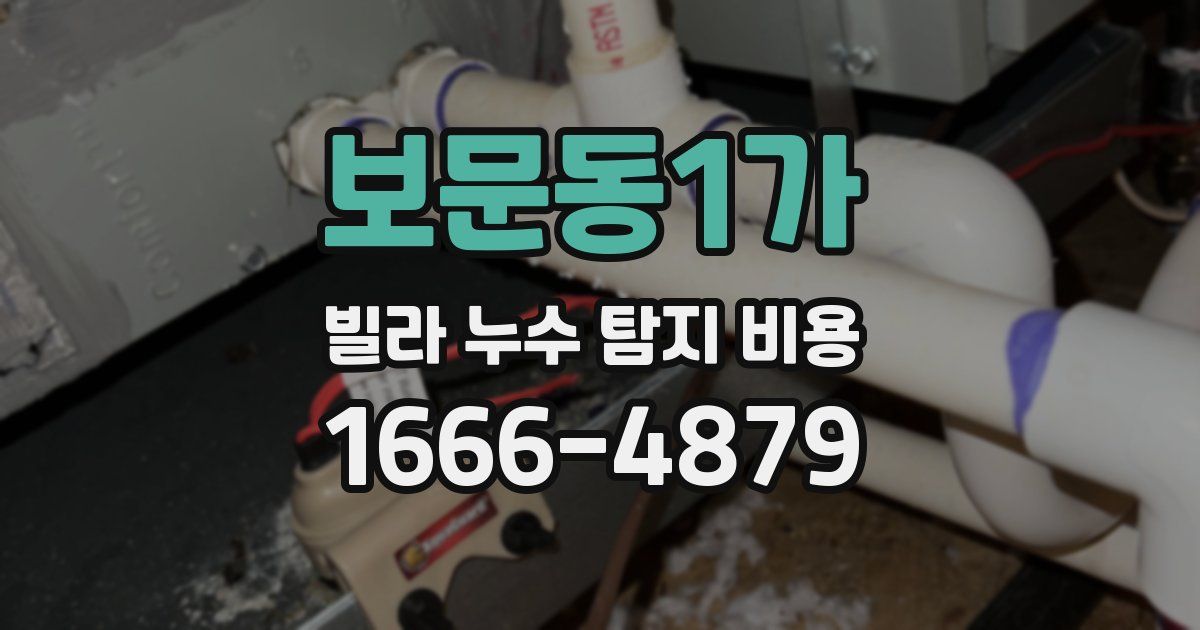 보문동1가 빌라 누수 탐지 비용