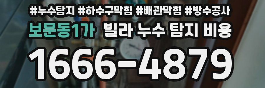 보문동1가 빌라 누수 탐지 비용