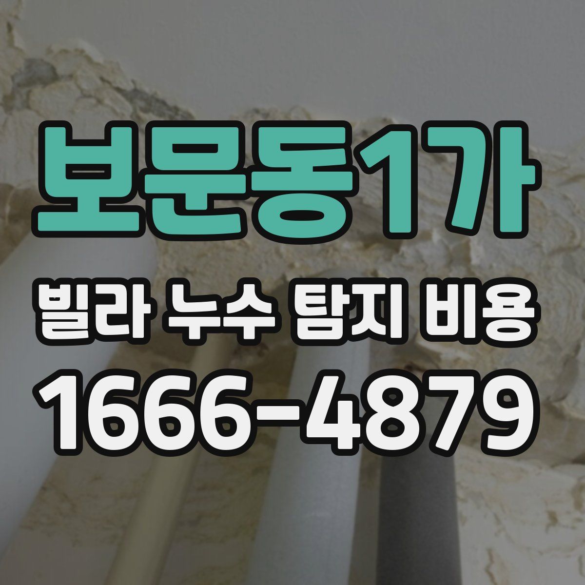보문동1가 빌라 누수 탐지 비용