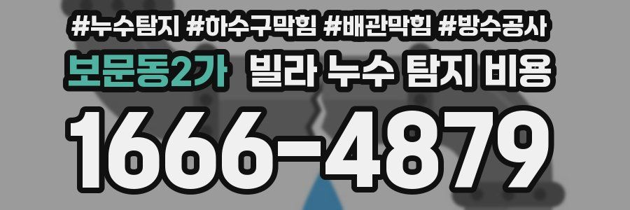 보문동2가 빌라 누수 탐지 비용