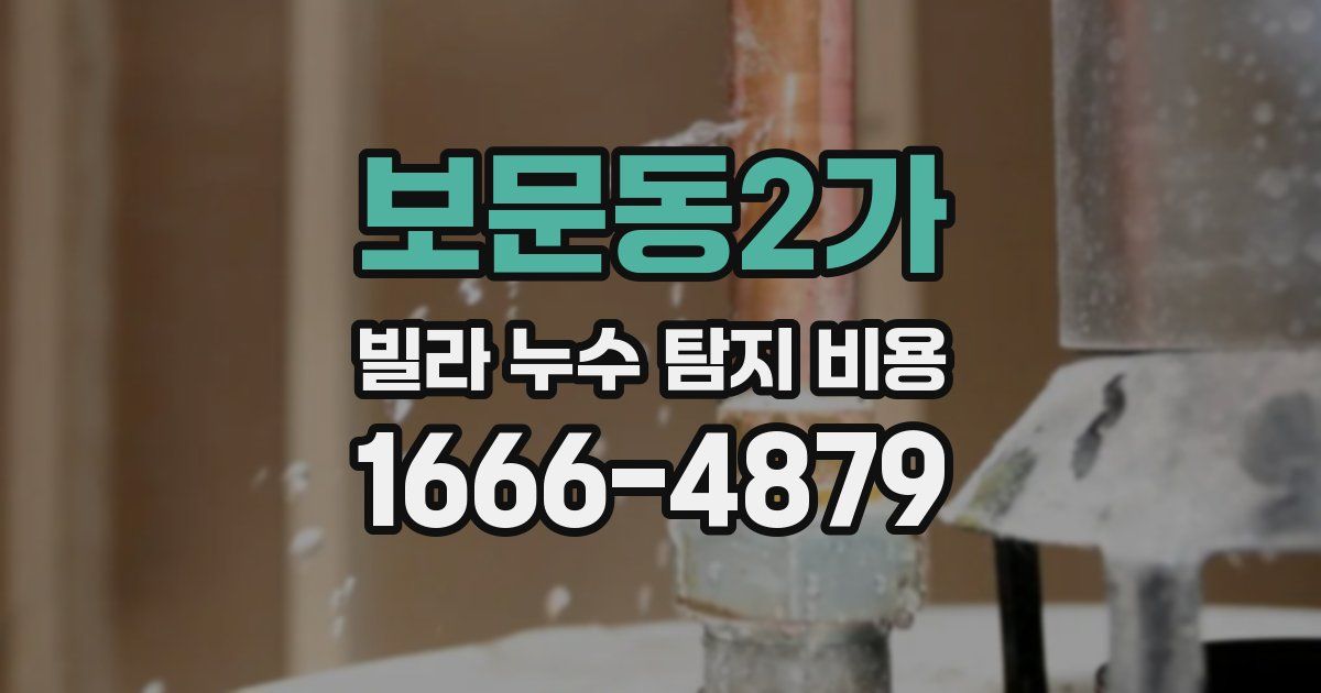보문동2가 빌라 누수 탐지 비용