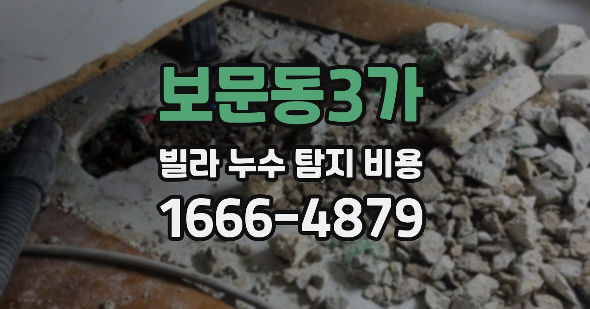 보문동3가 빌라 누수 탐지 비용