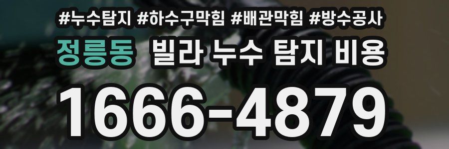 정릉동 빌라 누수 탐지 비용