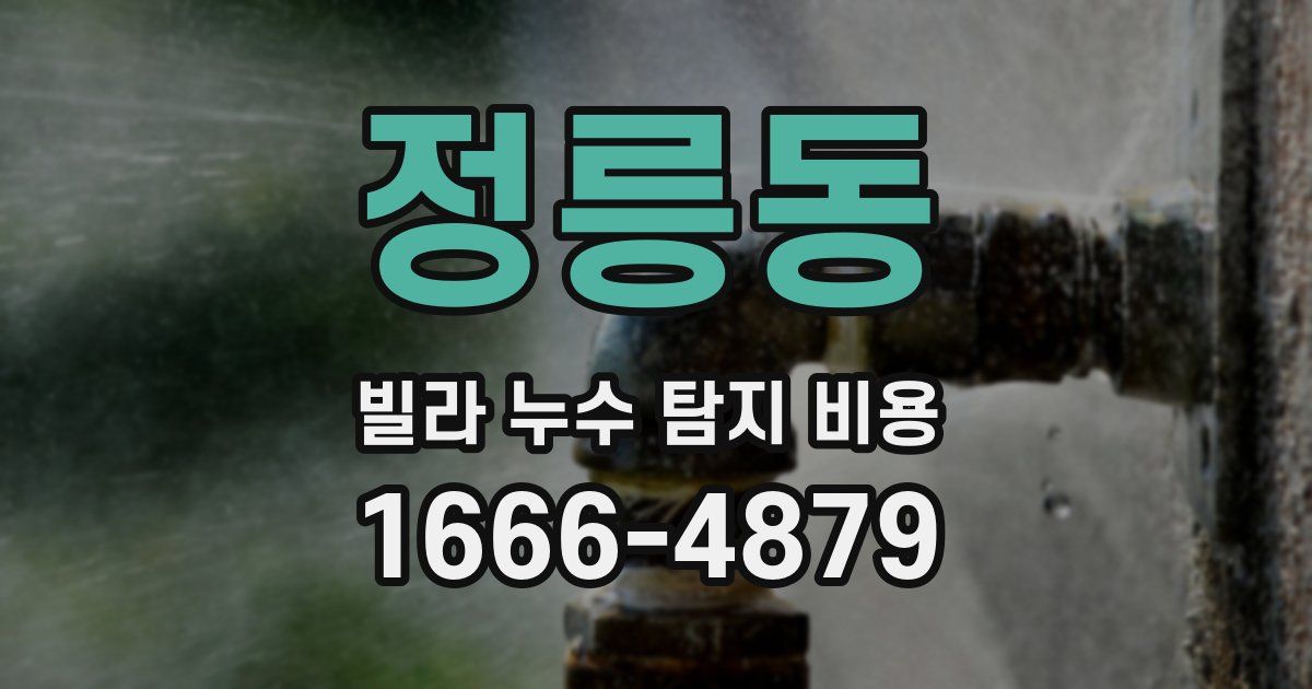 정릉동 빌라 누수 탐지 비용