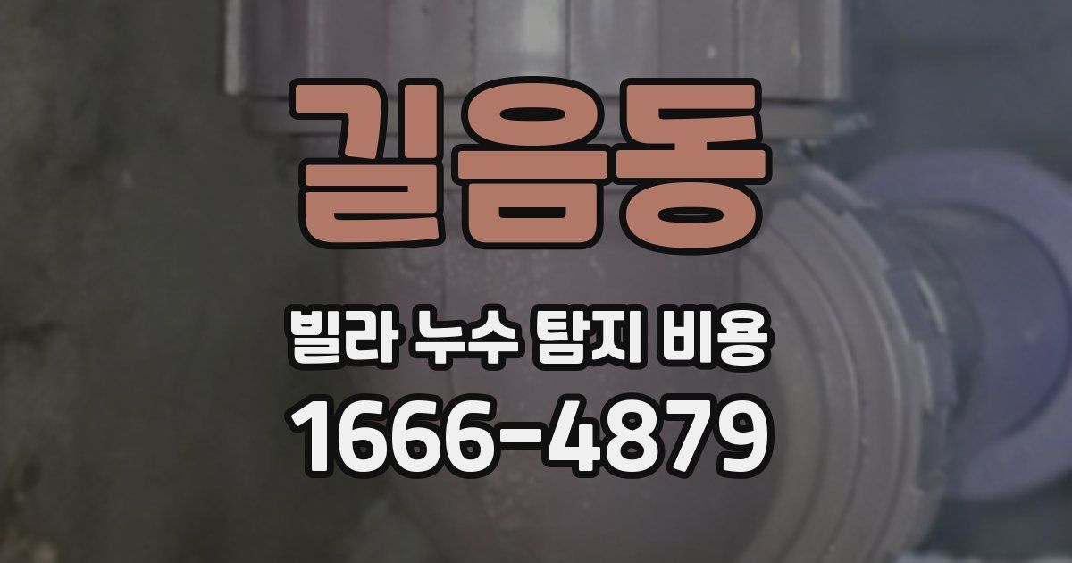 길음동 빌라 누수 탐지 비용