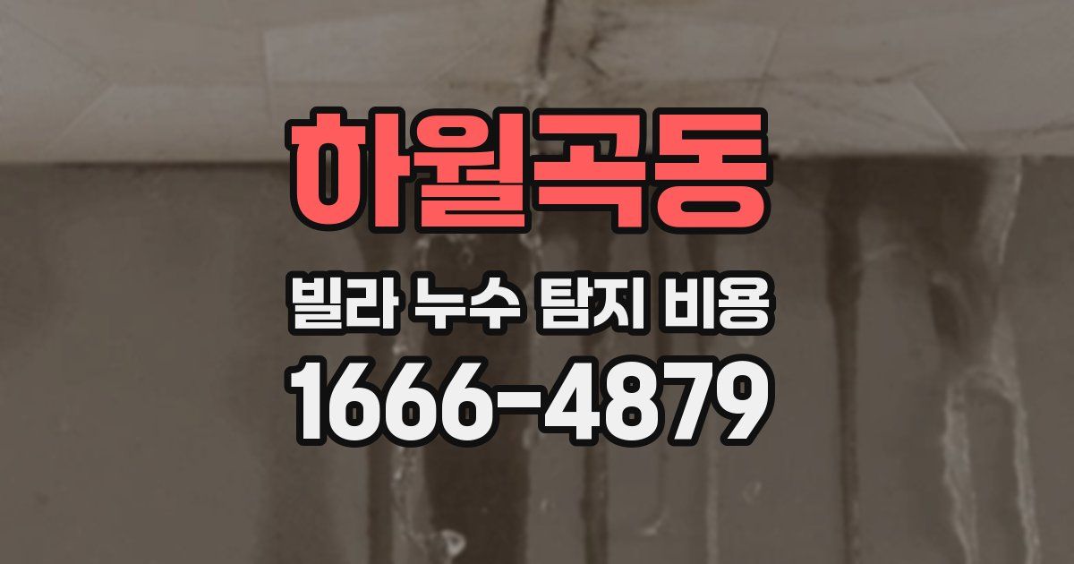 하월곡동 빌라 누수 탐지 비용