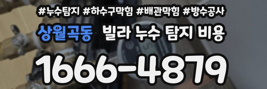 상월곡동 빌라 누수 탐지 비용