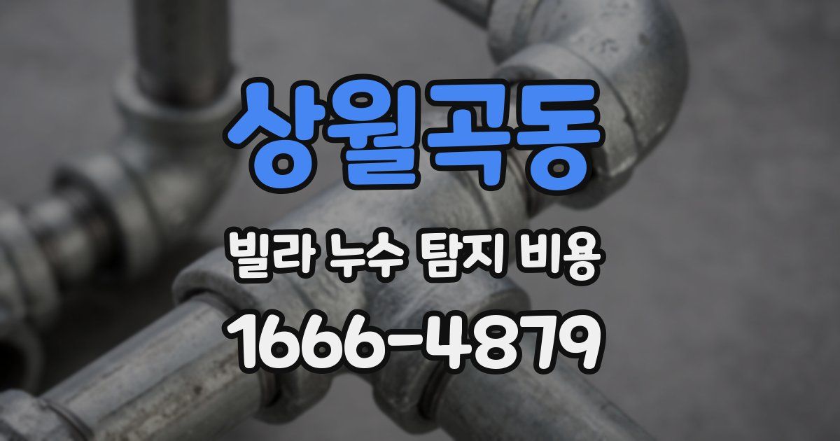 상월곡동 빌라 누수 탐지 비용