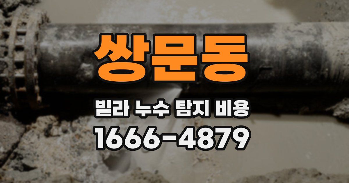 쌍문동 빌라 누수 탐지 비용