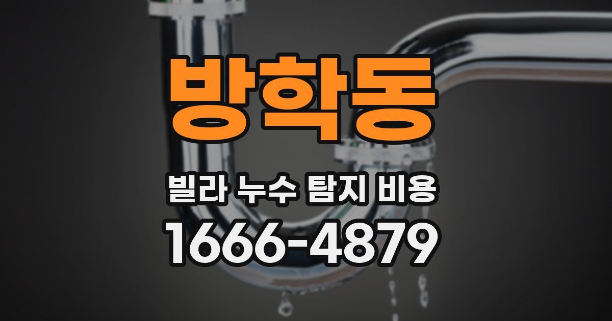 방학동 빌라 누수 탐지 비용