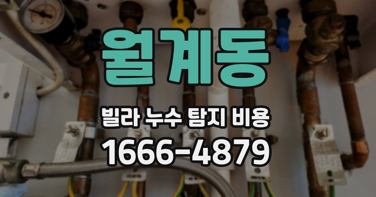 월계동 빌라 누수 탐지 비용