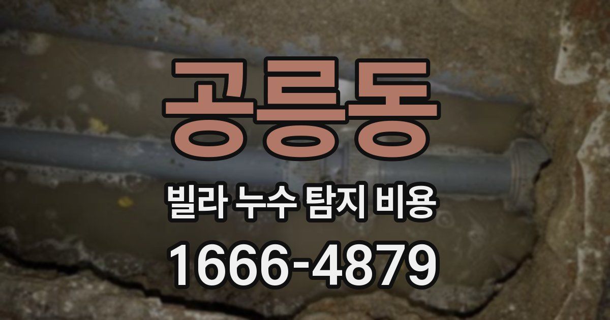 공릉동 빌라 누수 탐지 비용