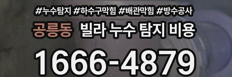 공릉동 빌라 누수 탐지 비용