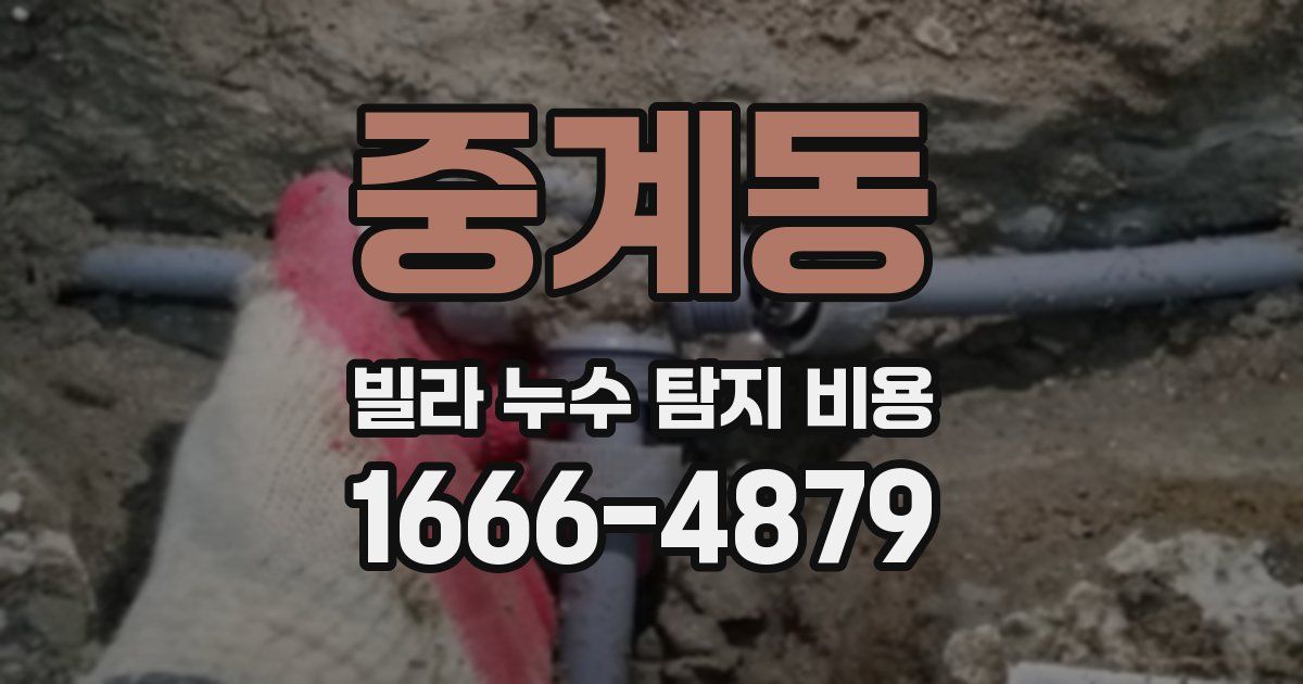 중계동 빌라 누수 탐지 비용