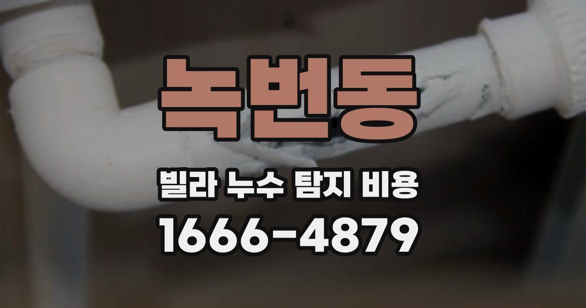 녹번동 빌라 누수 탐지 비용