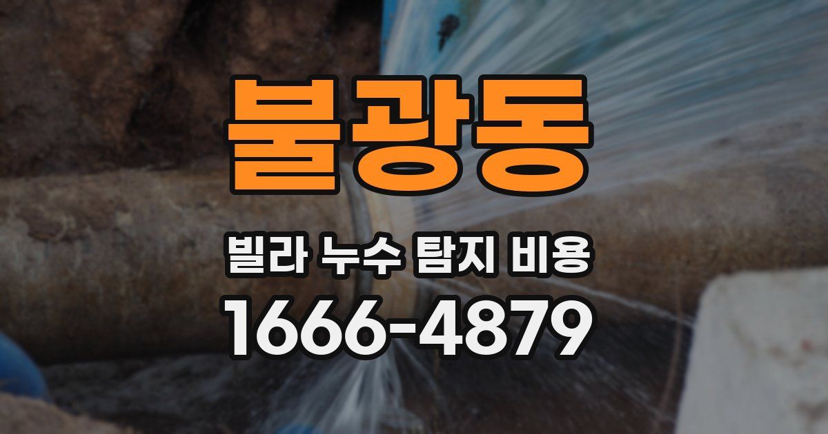 불광동 빌라 누수 탐지 비용