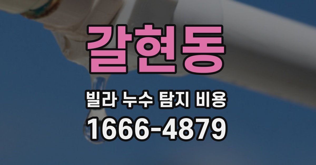 갈현동 빌라 누수 탐지 비용