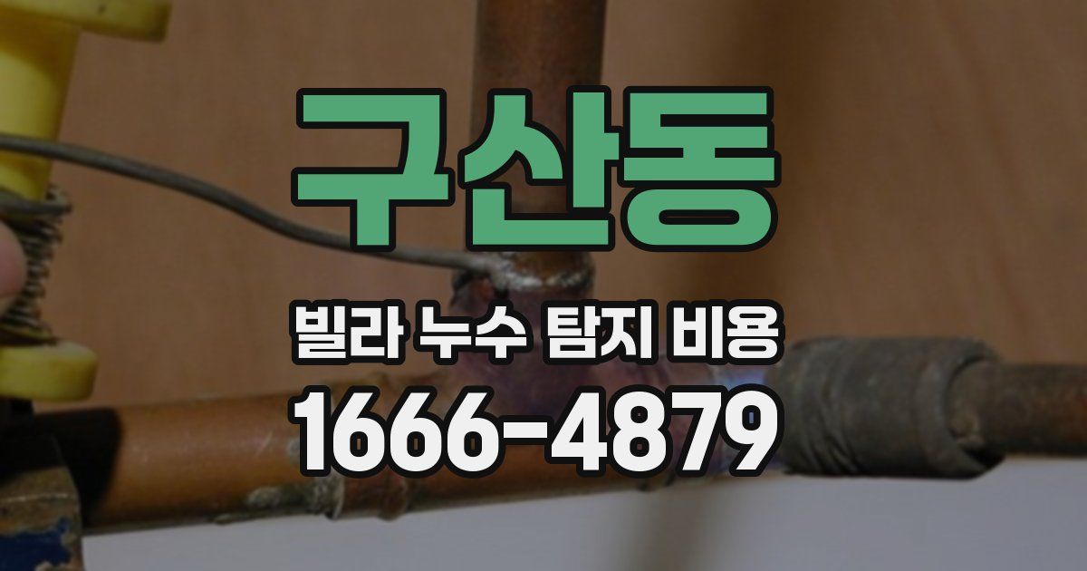 구산동 빌라 누수 탐지 비용