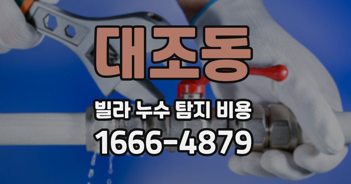대조동 빌라 누수 탐지 비용