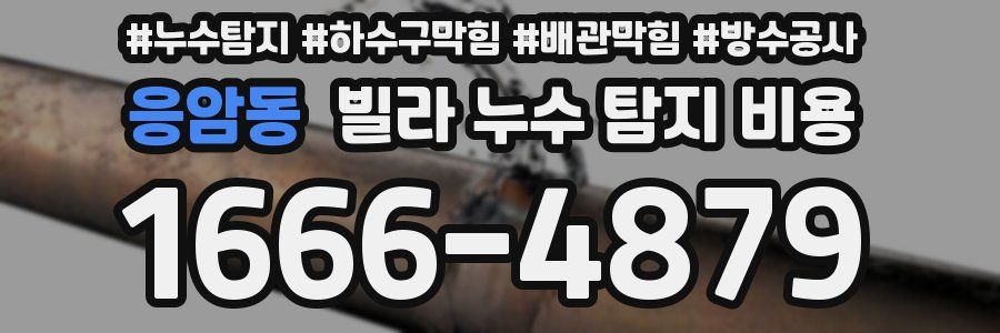 응암동 빌라 누수 탐지 비용