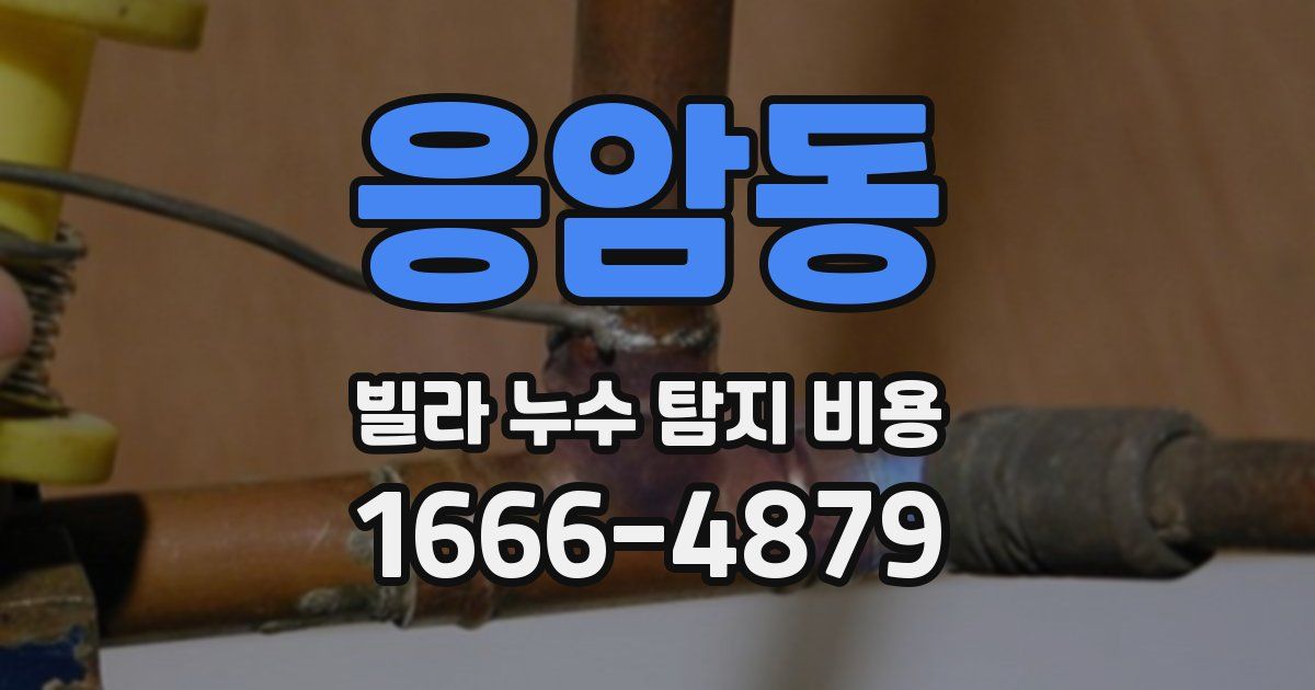 응암동 빌라 누수 탐지 비용
