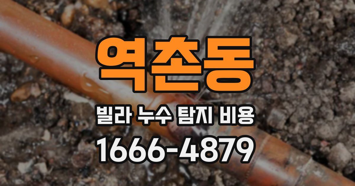 역촌동 빌라 누수 탐지 비용