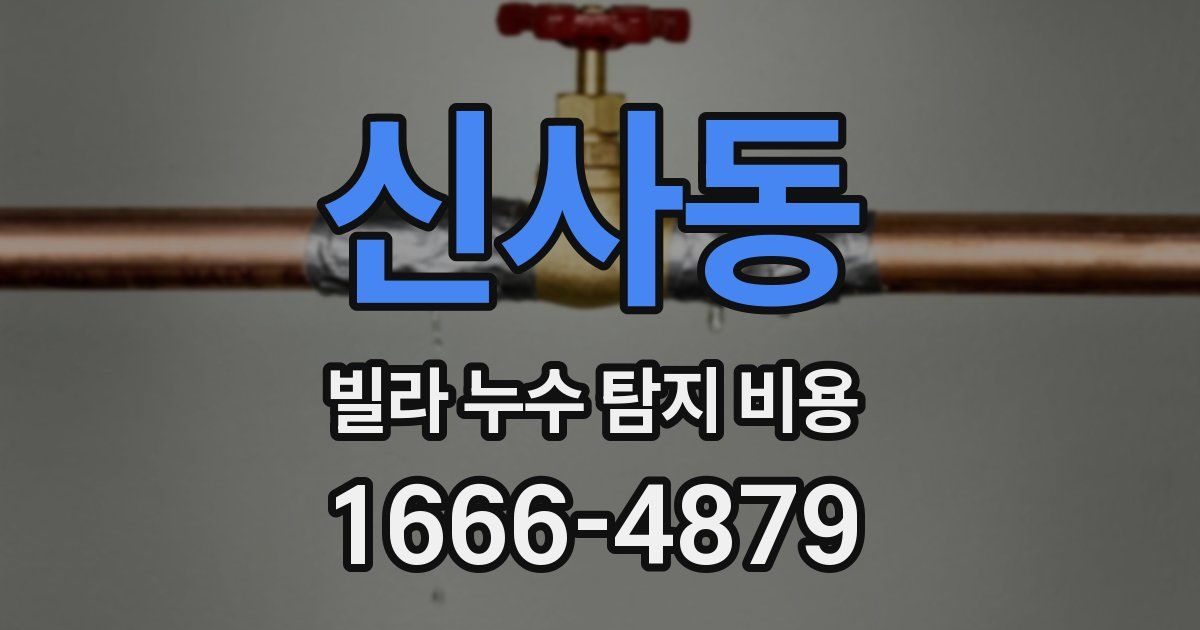 신사동 빌라 누수 탐지 비용